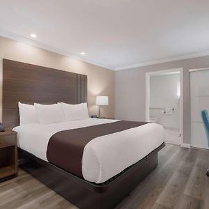 King Room Roll Shower Disability Access